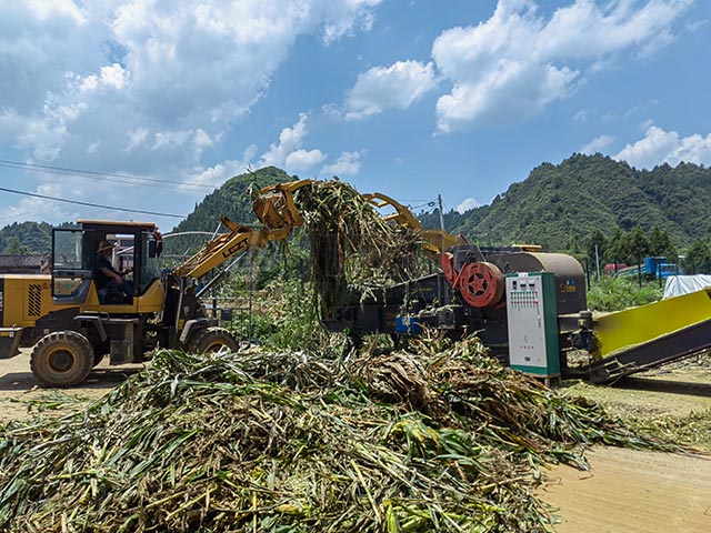 秸稈青貯粉碎機(jī)幫助秸稈變成牛羊營(yíng)養(yǎng)餐